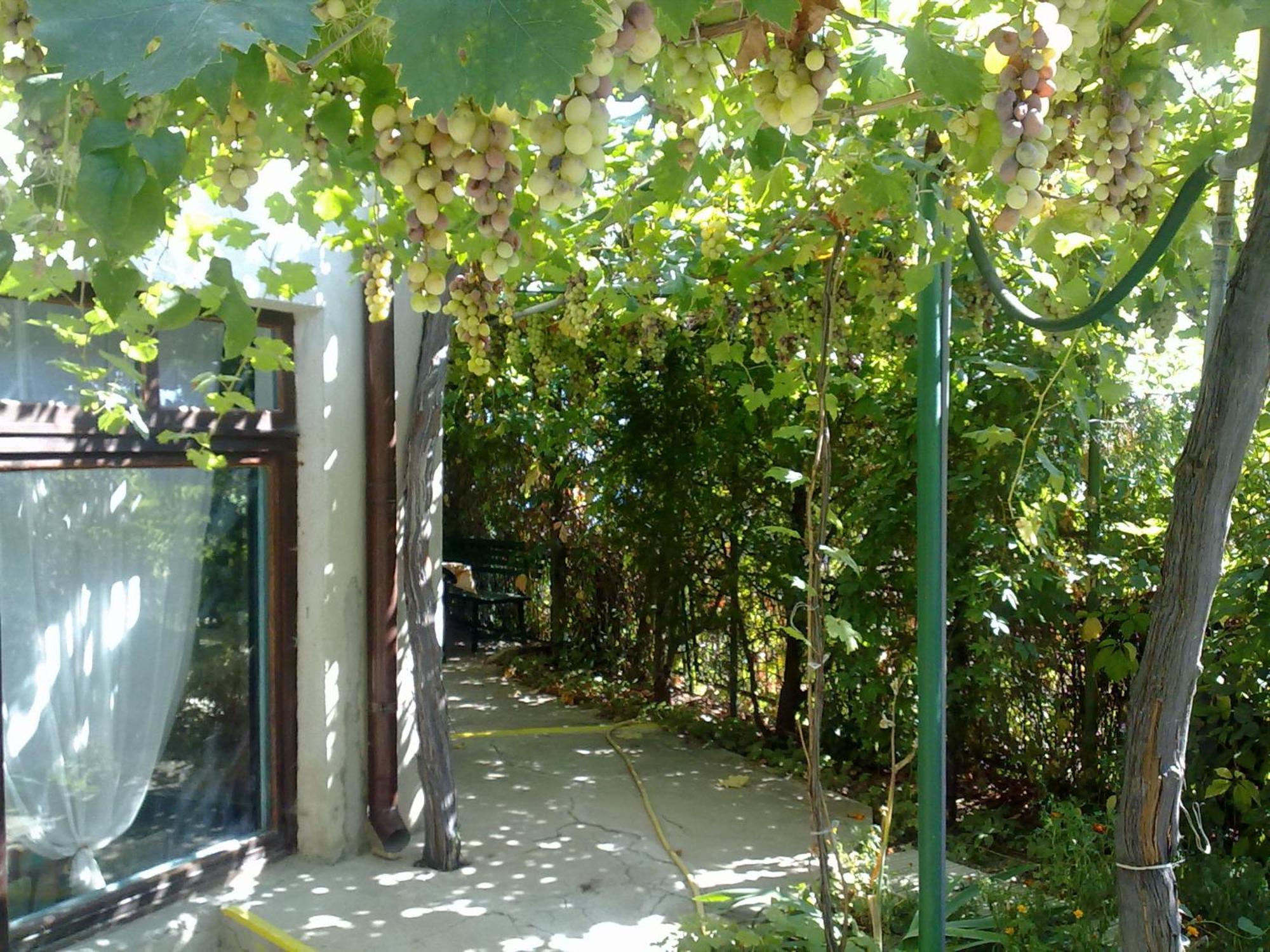 Villa Elfi Golden Sands Exterior foto