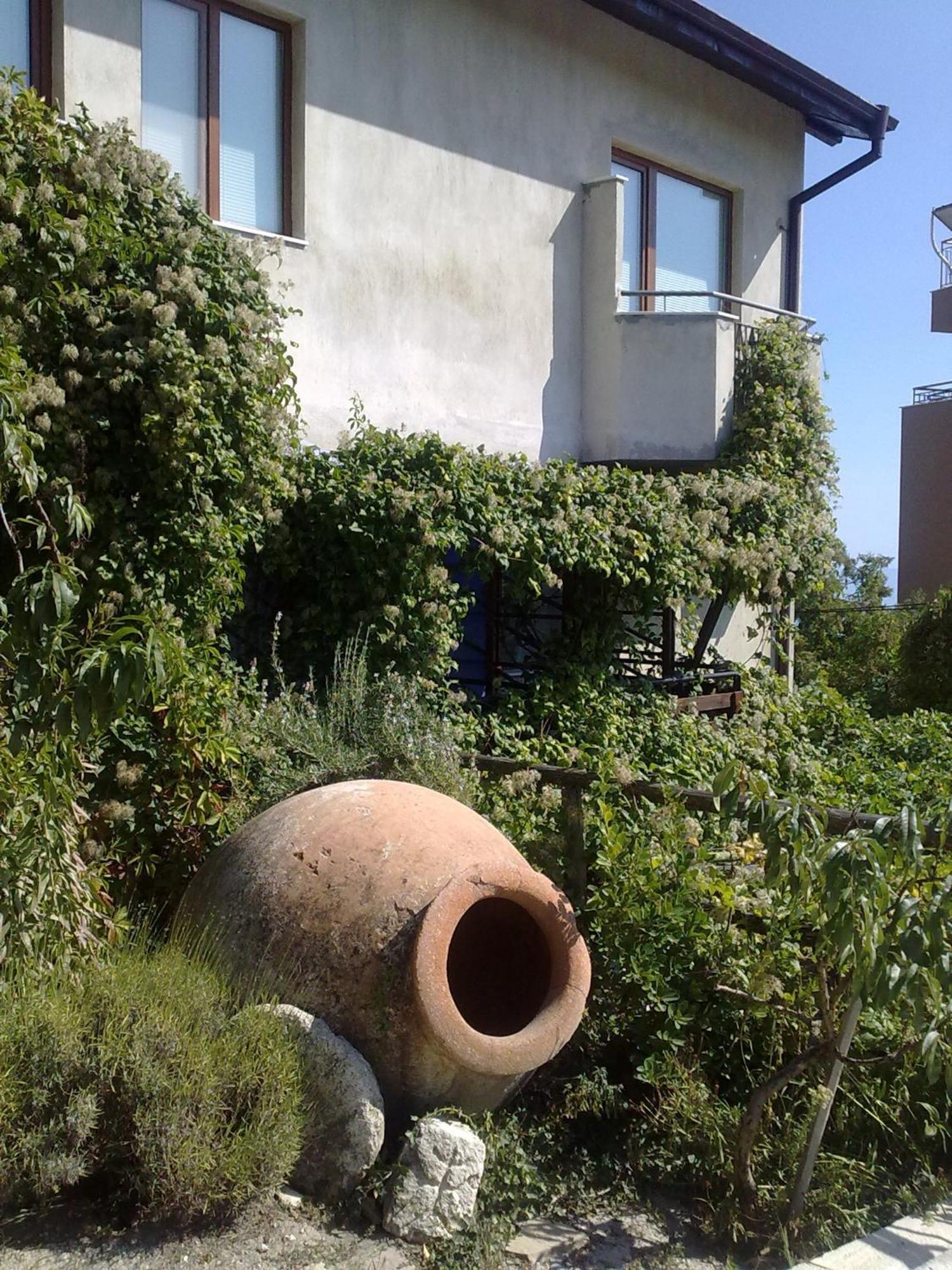 Villa Elfi Golden Sands Exterior foto